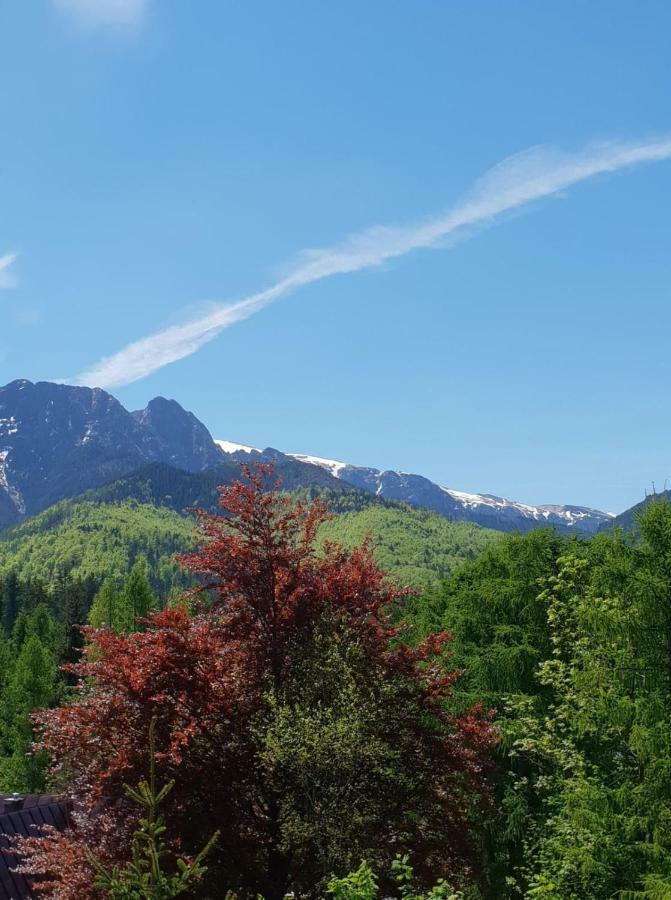 Bel-Ami Panzió Zakopane Kültér fotó